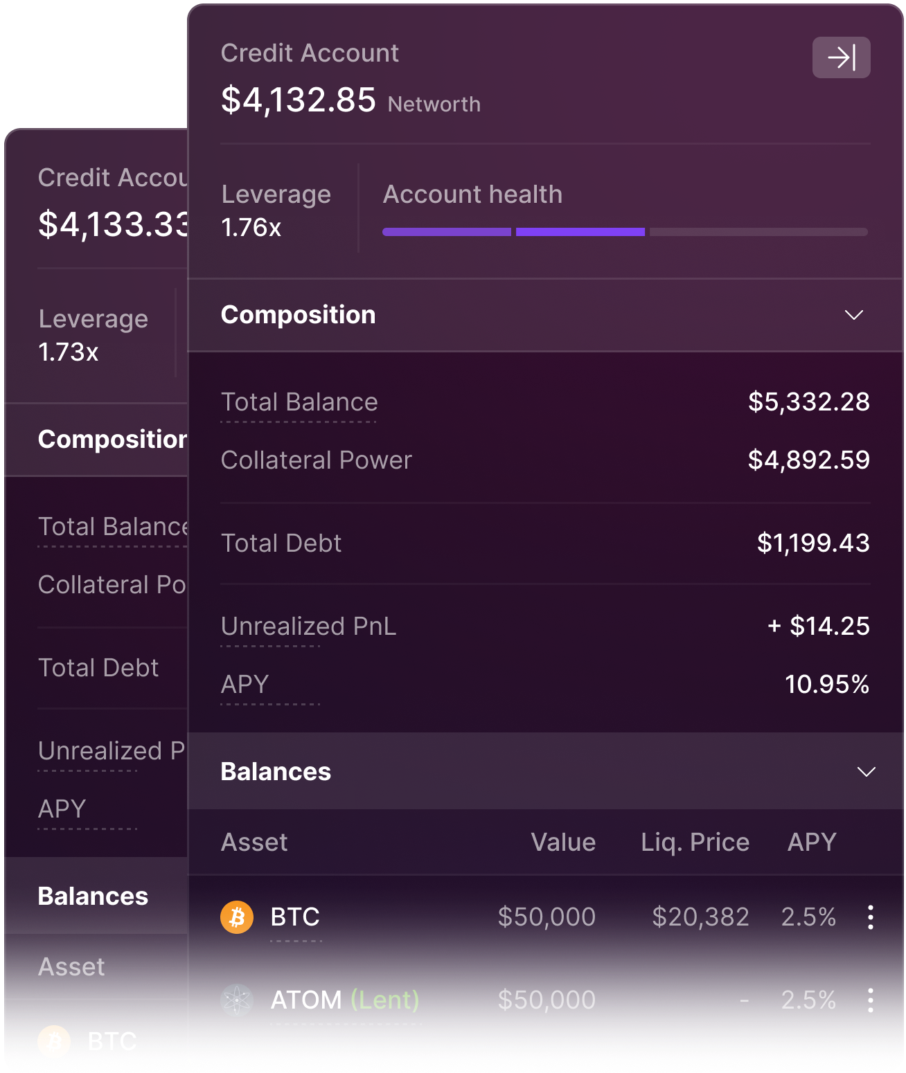 Credit Manager Interface